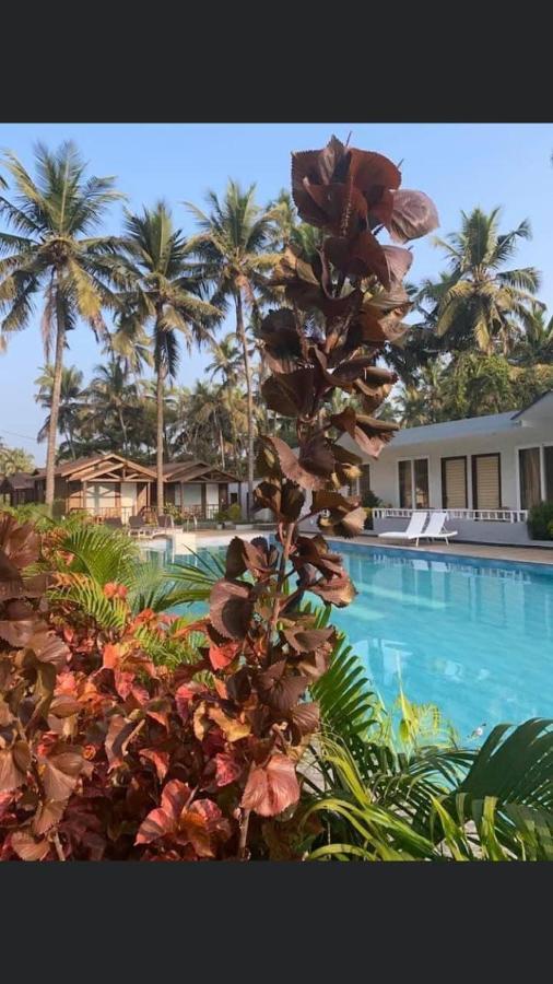 Golden Sands Resort, Morjim Luaran gambar