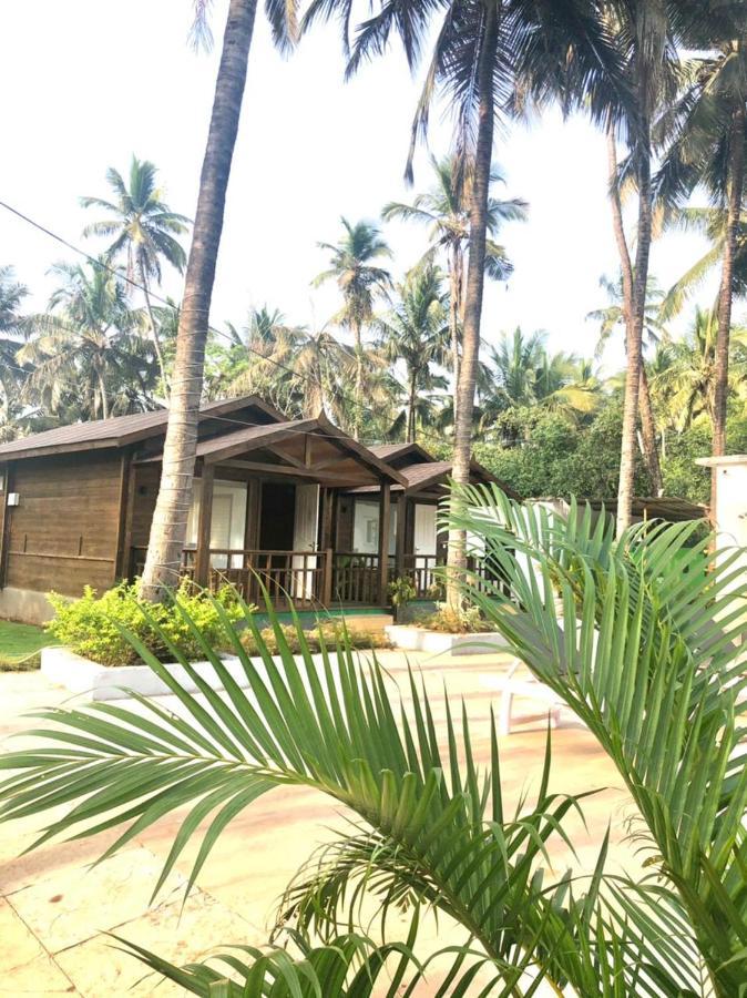 Golden Sands Resort, Morjim Luaran gambar