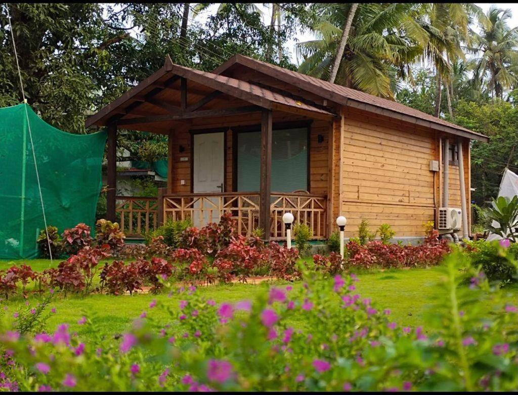 Golden Sands Resort, Morjim Luaran gambar